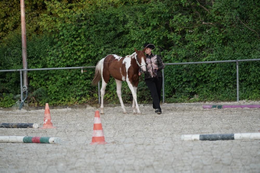 s_APF07359.jpg